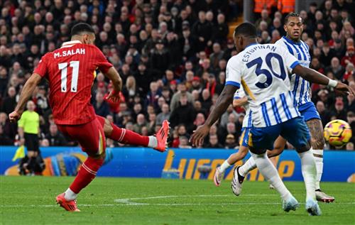 ليفربول vs برايتون